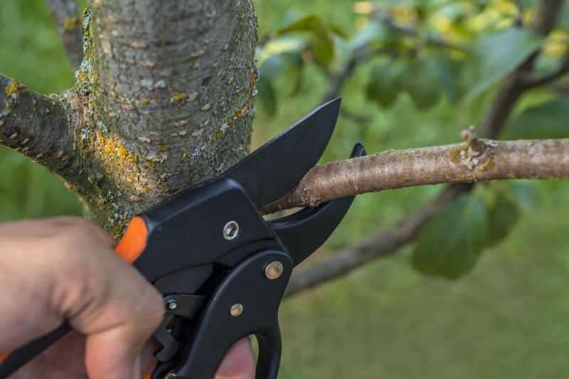 Tree Limb Removal Equipment