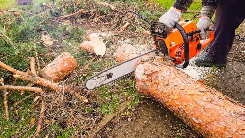 Tree Limb Cutting Service