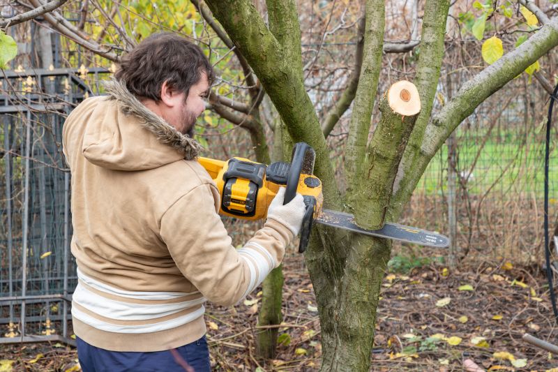 Tree Limb Cutting Service