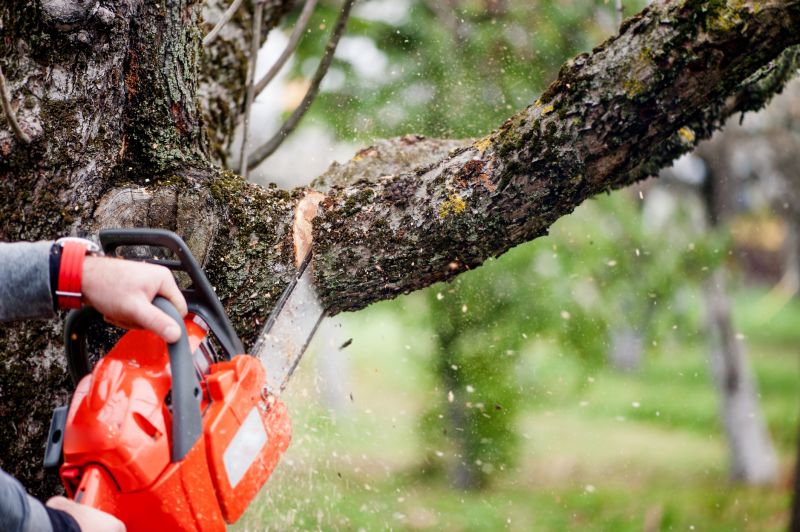 Tree Limb Cutting Service