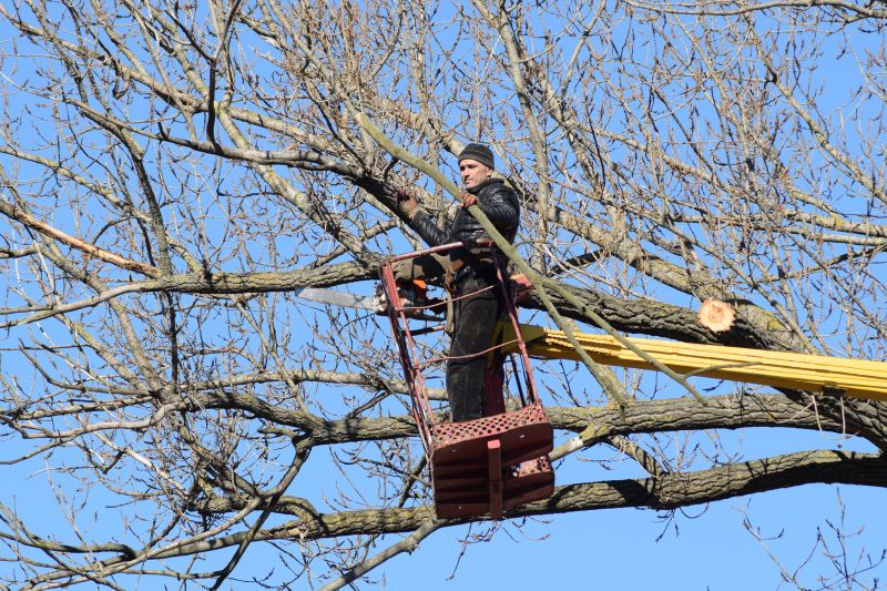 Equipment for Safe Tree Access