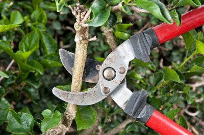 Enhance Safety and Reduce Liability
